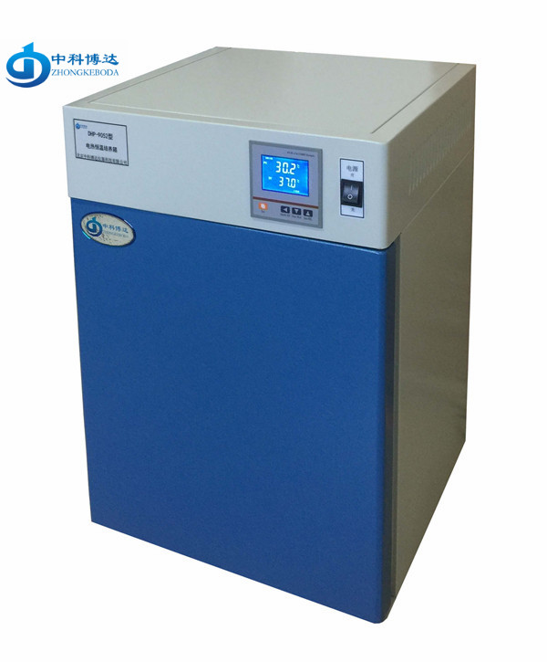 電熱恒溫培養箱